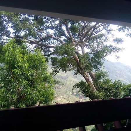Holly Hock Bed and Breakfast Munnar Exteriör bild